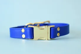 HARDWARE RETIREMENT SALE - Royal & Brass Biothane Dog Collar