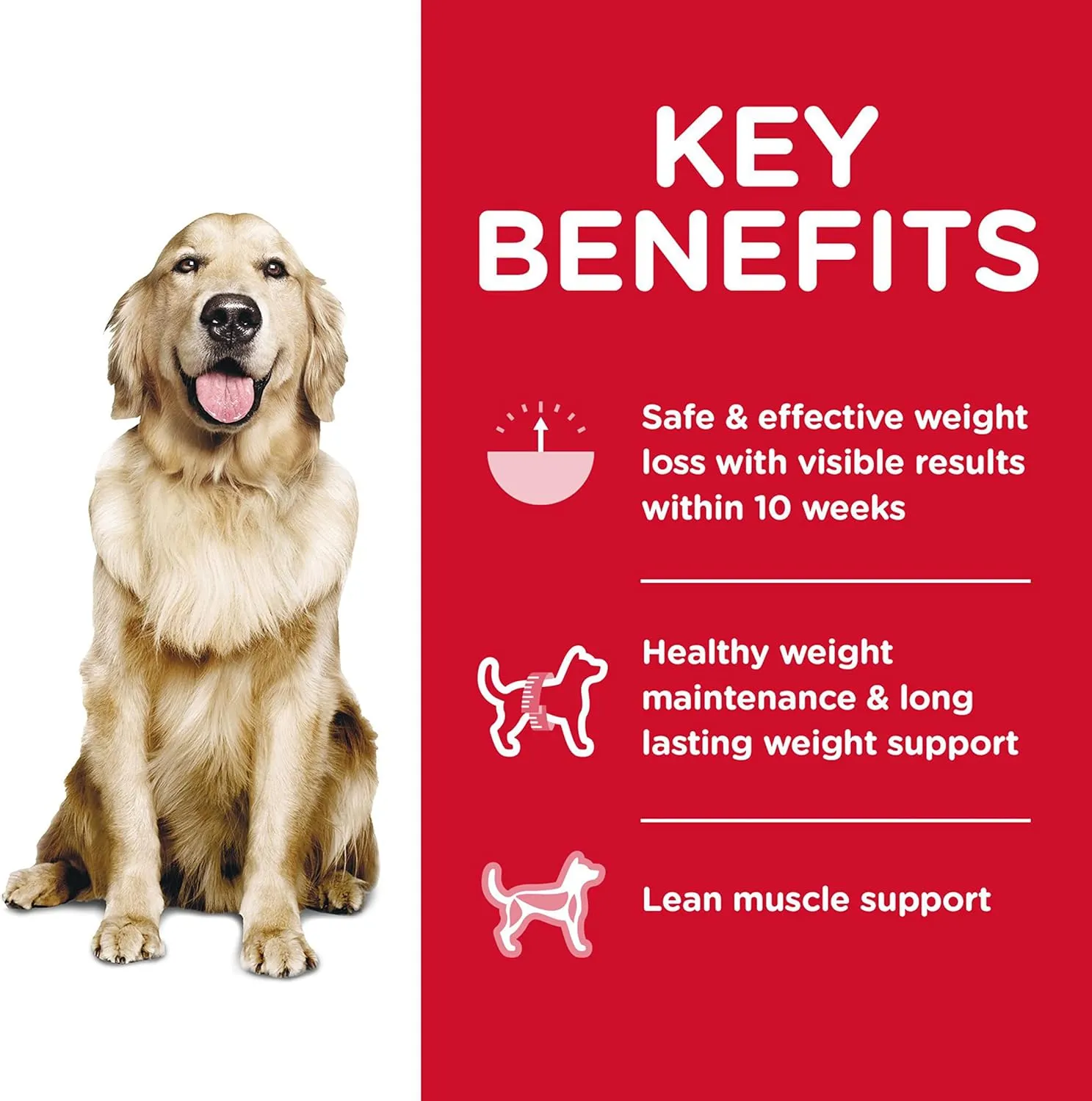 Hill's Science Diet Perfect Weight, Adult 1-6, Weight Management Support, Dry Dog Food, Chicken Recipe, 12 lb Bag