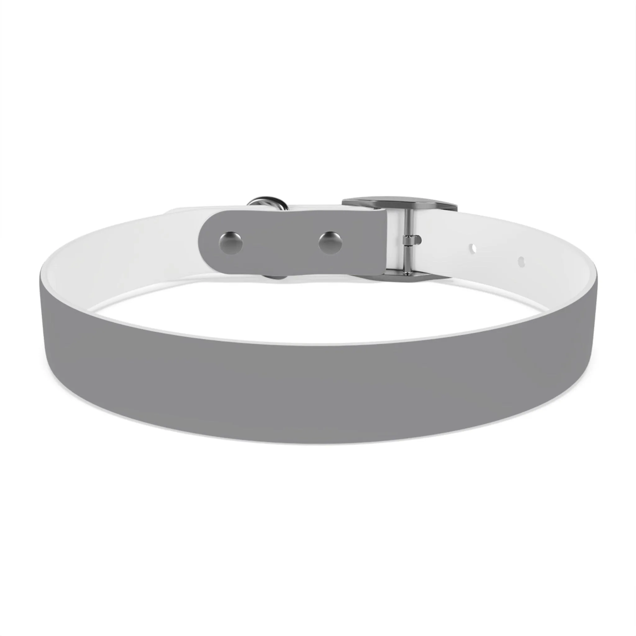 IQ Fashion | Dog Collar