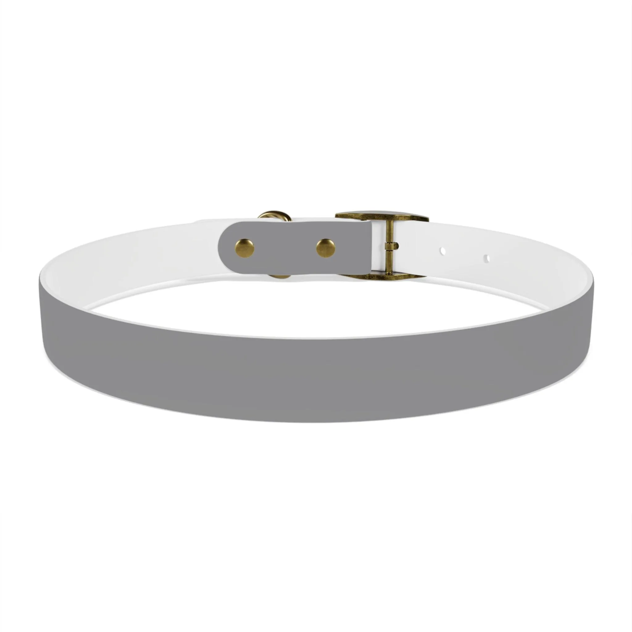 IQ Fashion | Dog Collar