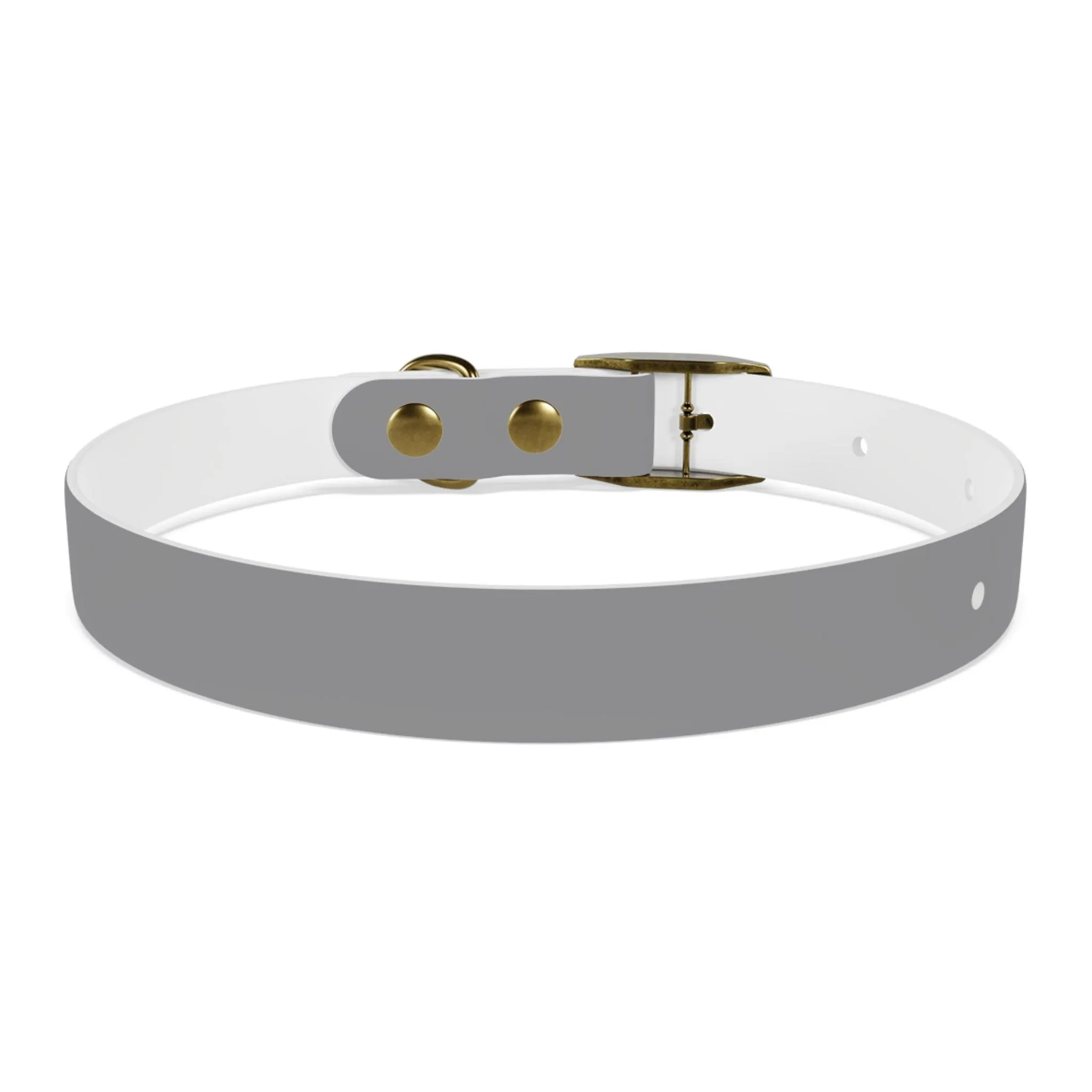 IQ Fashion | Dog Collar