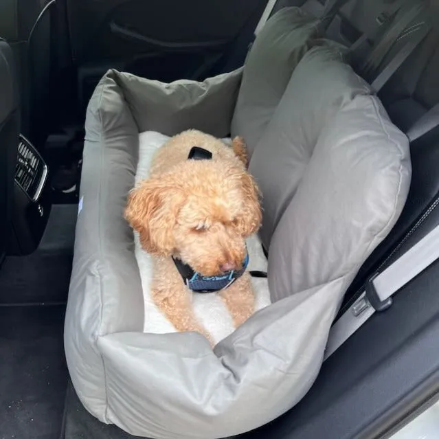 Julibee Fluff Dog Car Seat Bed
