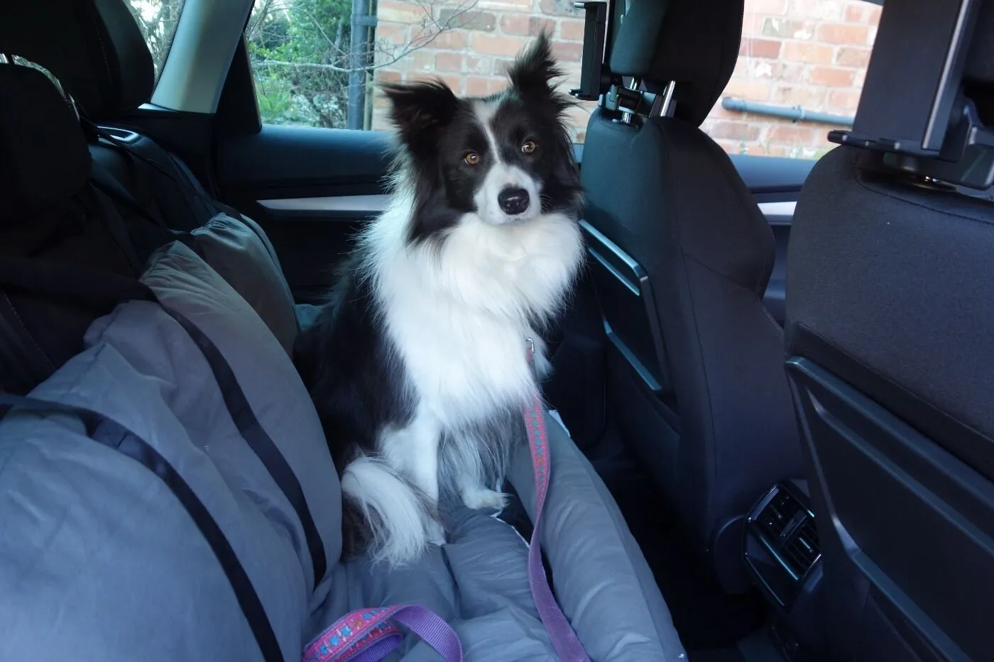 Julibee Fluff Dog Car Seat Bed