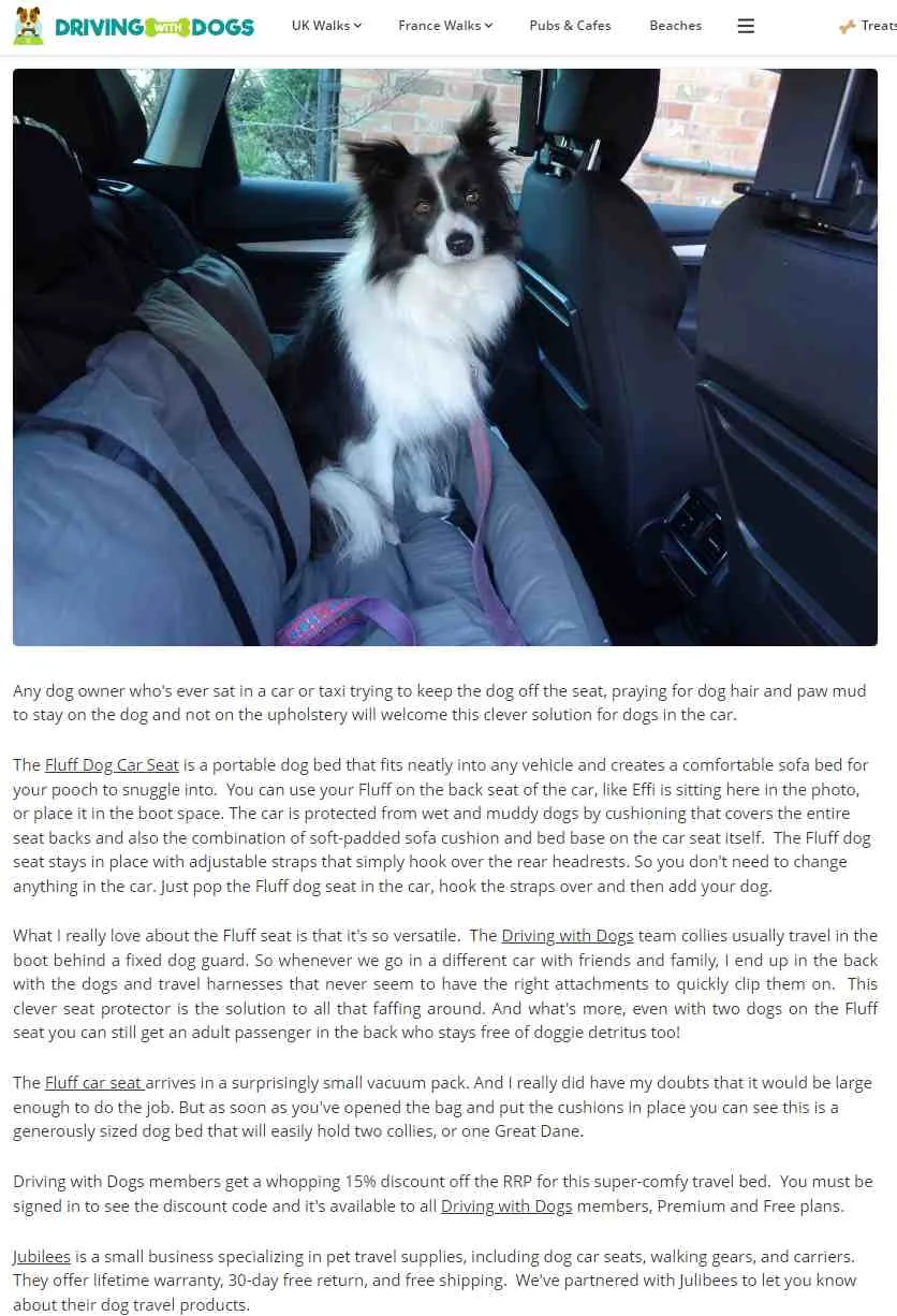 Julibee Fluff Dog Car Seat Bed