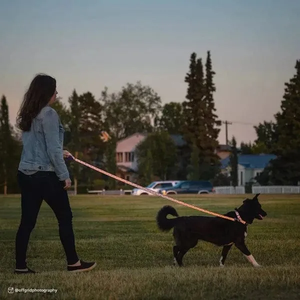 Lazer Brite Reflective Open Design Dog Leash