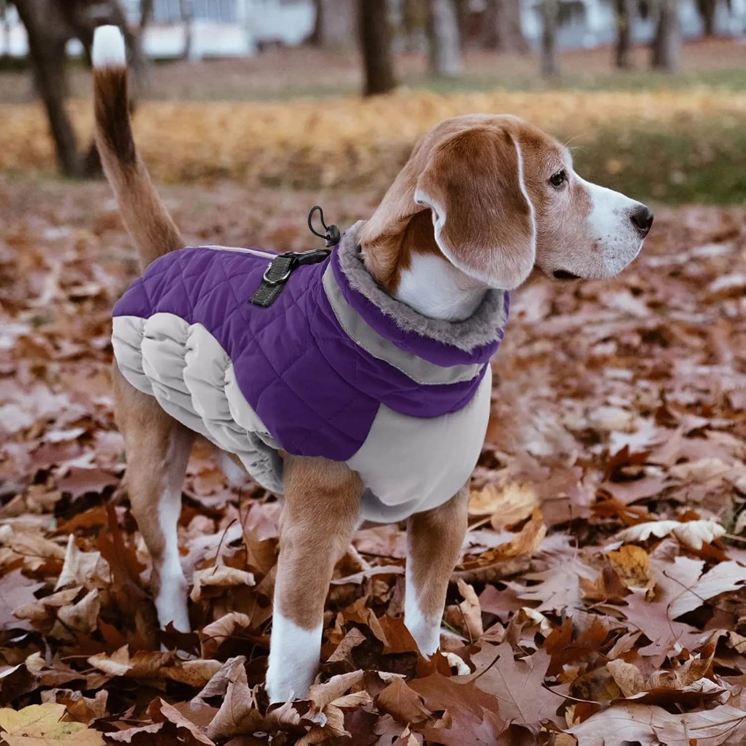 Lelepet Dog Coat with Harness Waterproof Dog Jacket, Reflective & Adjustable Turtleneck Neckline, Warm Fleece Vest for Winter, Coats for Dogs, Purple, XS