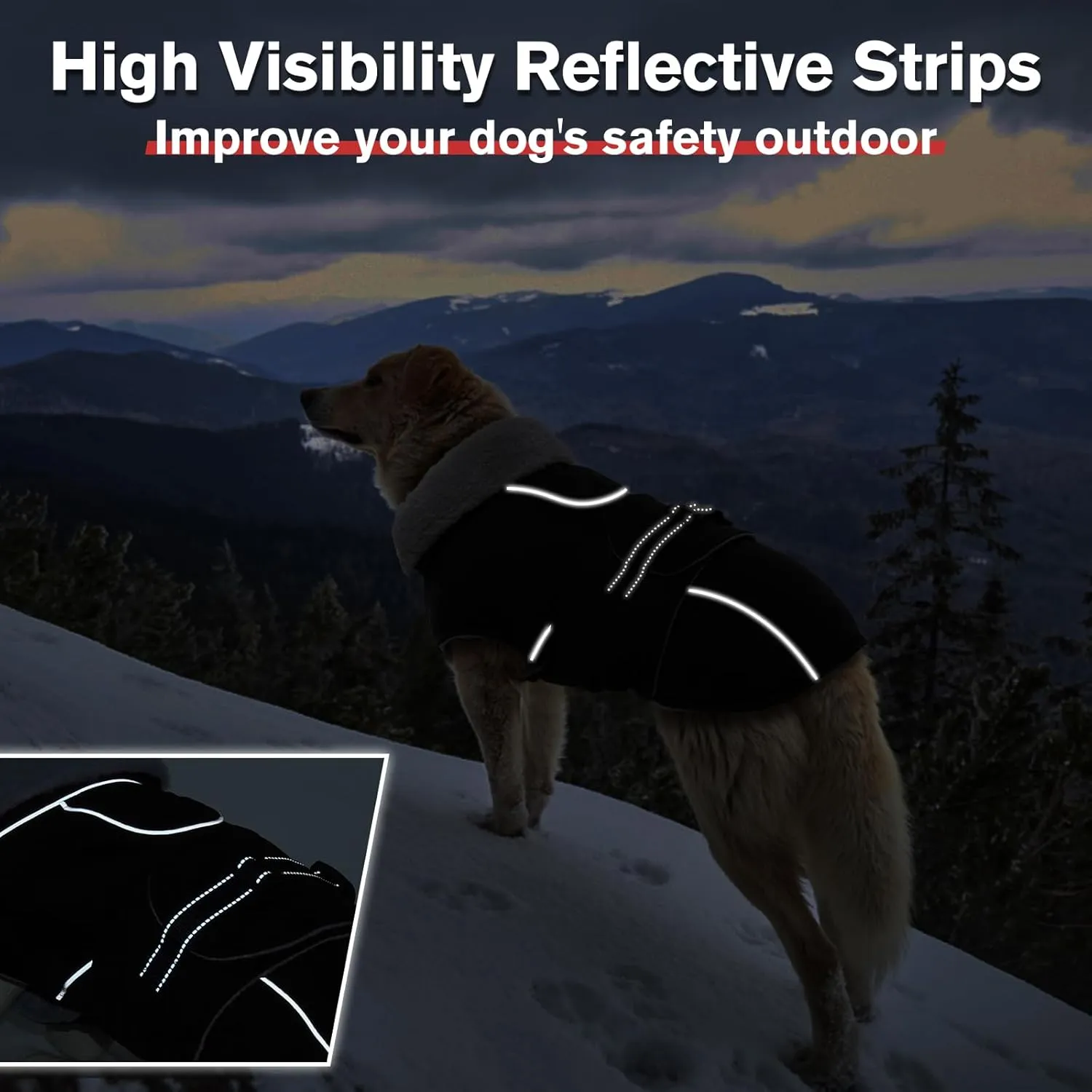 Lelepet Warm Dog Coat Reflective Dog Fleece Vest Waterproof Jacket Windproof Winter Cold Weather Coats with Adjustable Buckle Jackets for Small Dogs, Black, S