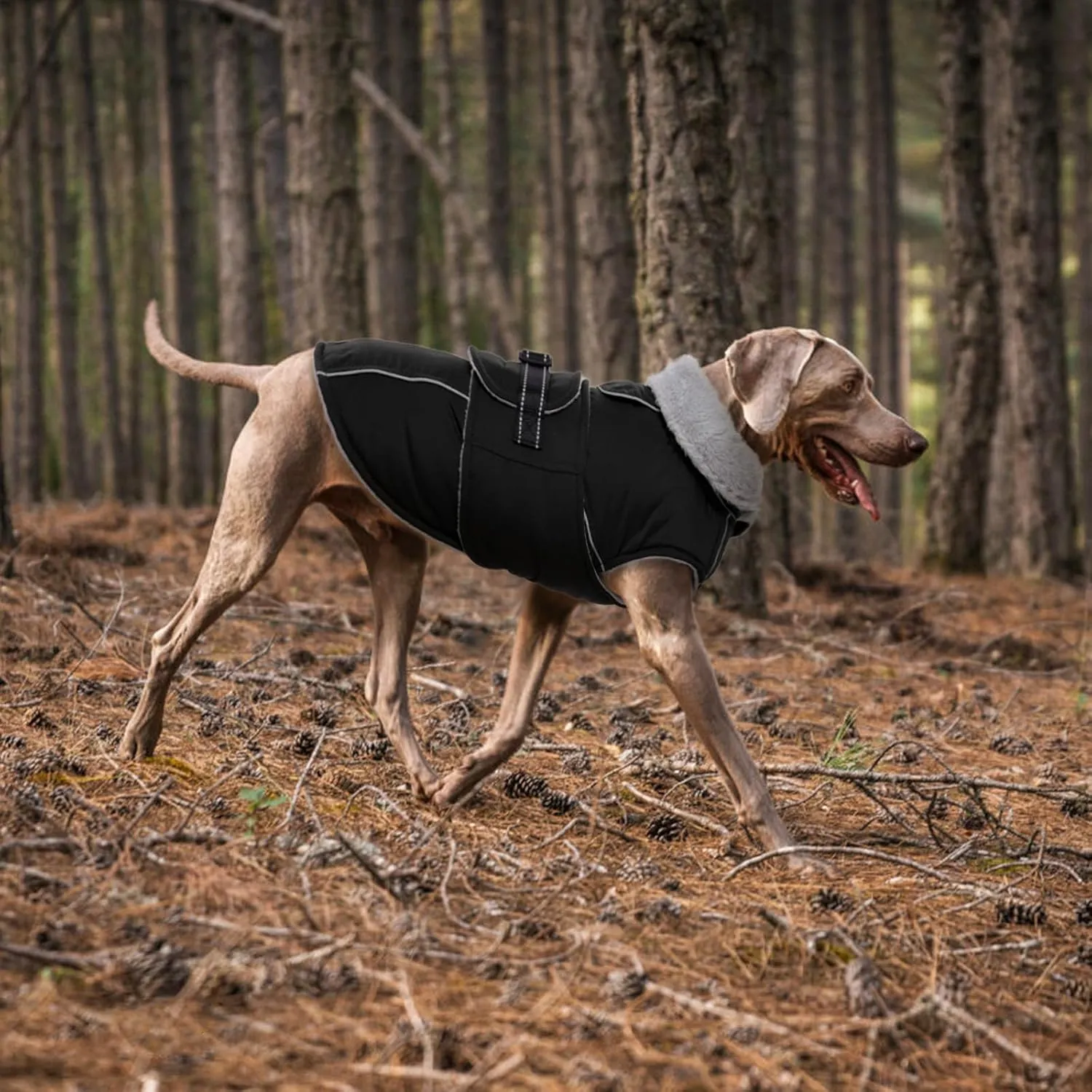 Lelepet Warm Dog Coat Reflective Dog Fleece Vest Waterproof Jacket Windproof Winter Cold Weather Coats with Adjustable Buckle Jackets for Small Dogs, Black, S