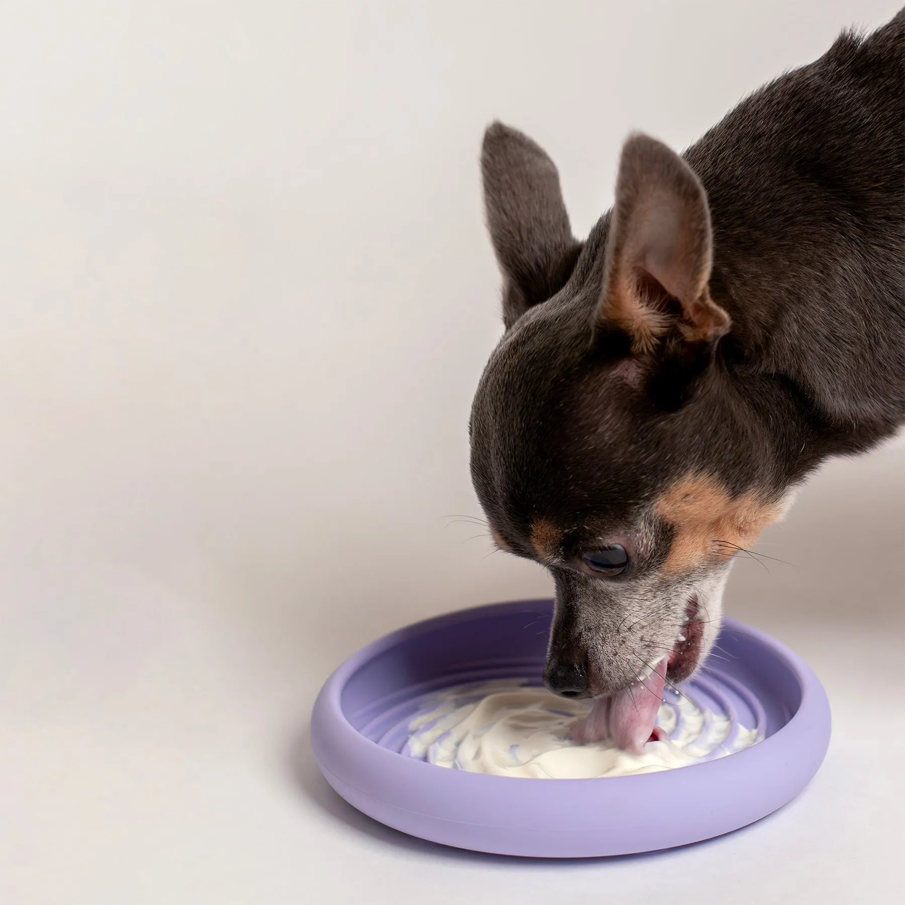 Lick Dish Slow Feeder