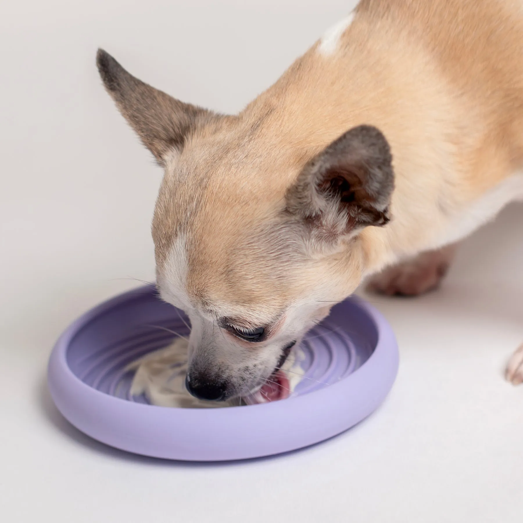 Lick Dish Slow Feeder