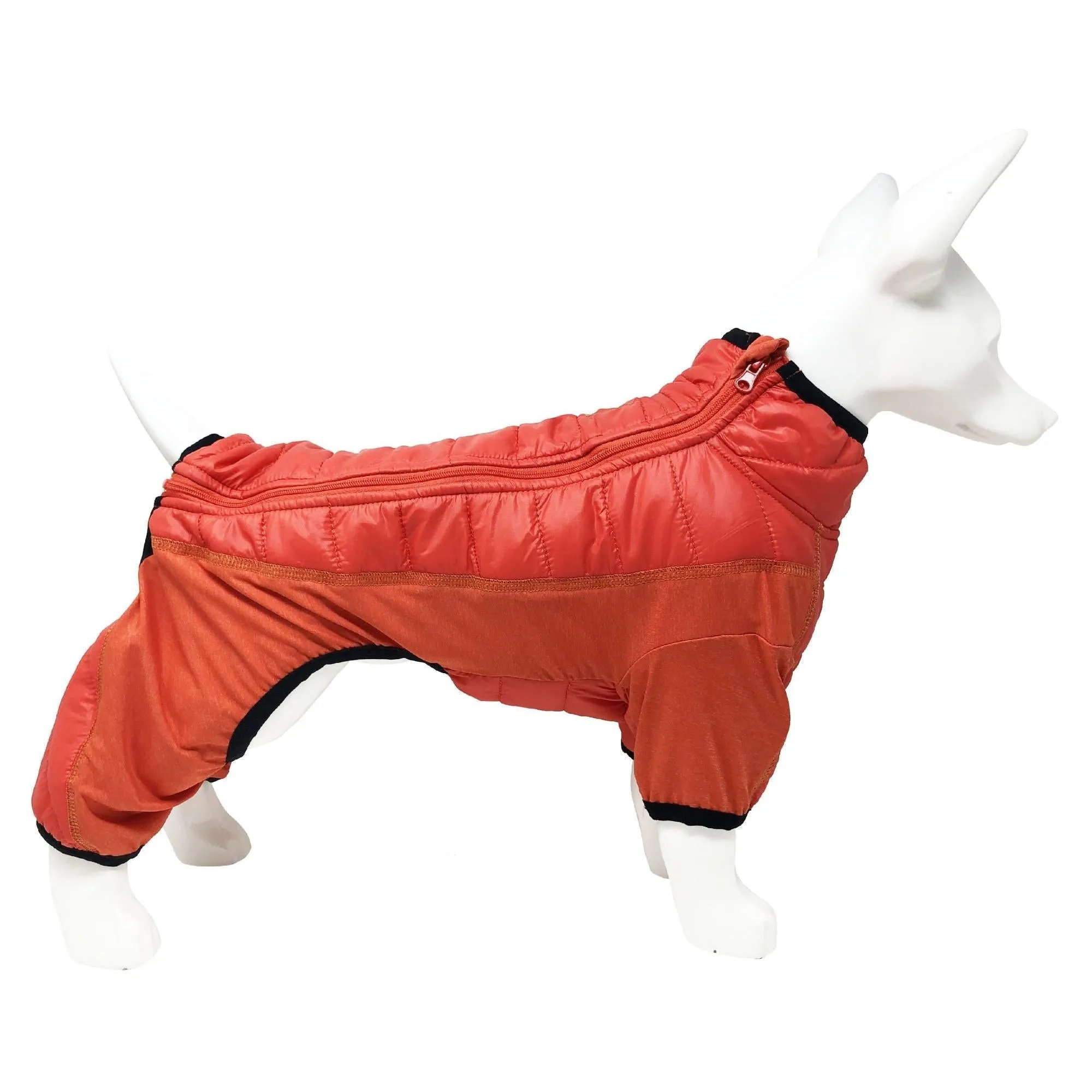 Lightweight dog jacket