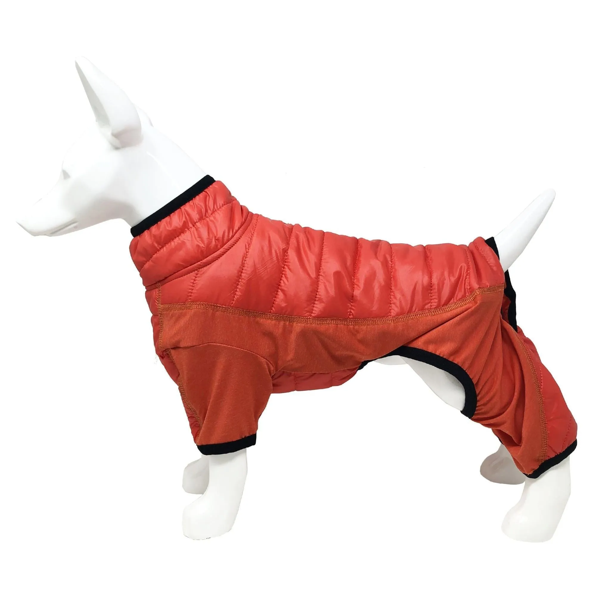 Lightweight dog jacket