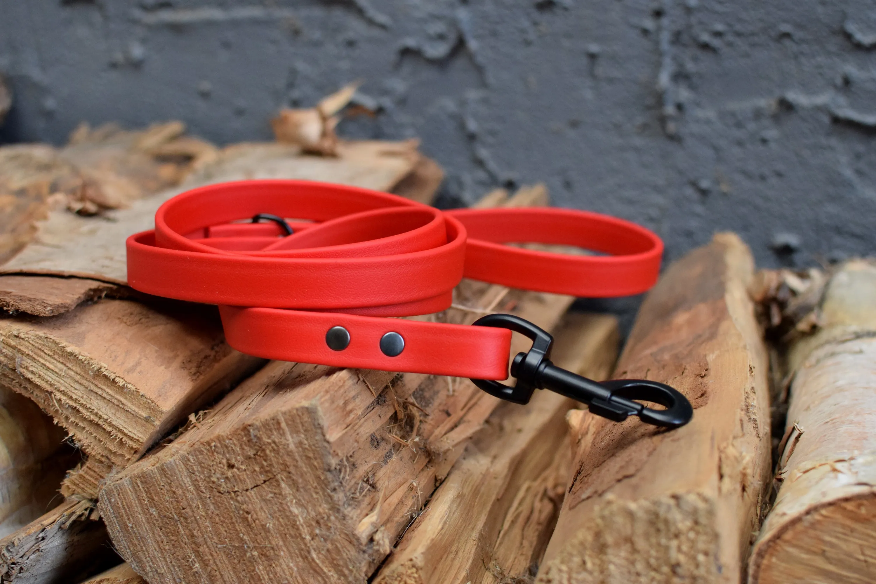 LUCI COLLECTION - Red & Black Biothane Dog Leash