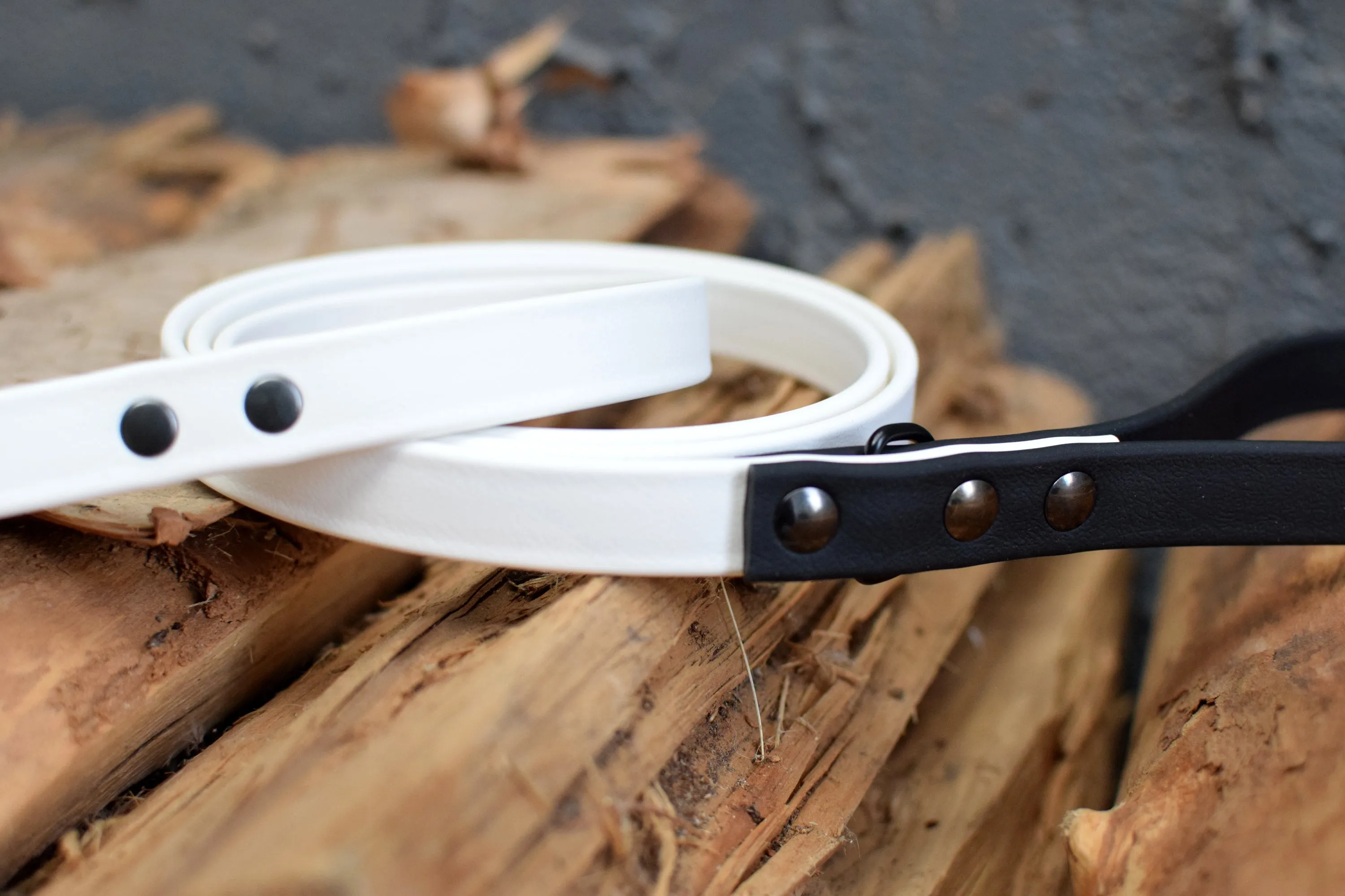 LUCI COLLECTION - White & Black Biothane Dog Leash