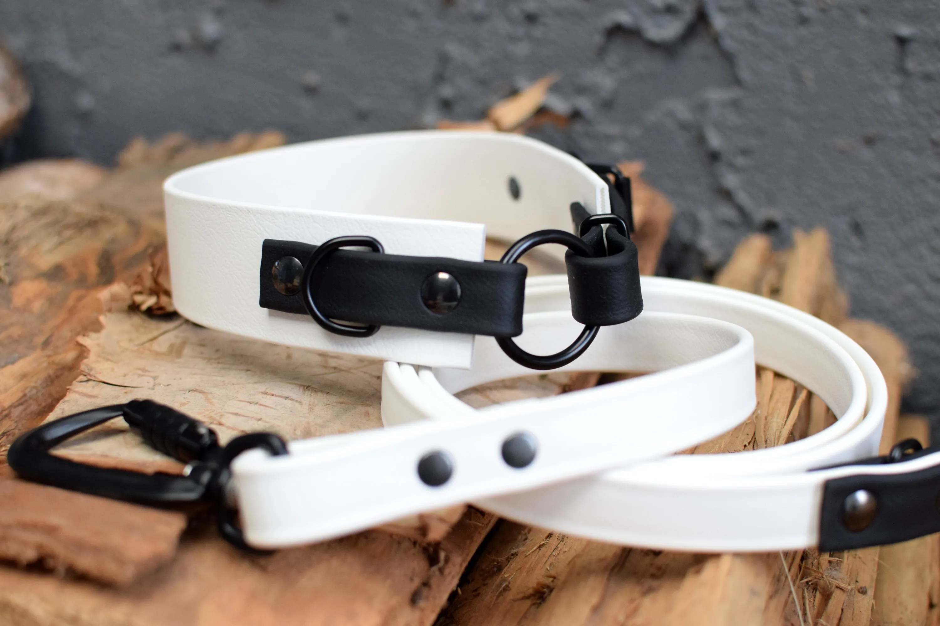 LUCI COLLECTION - White & Black Biothane Dog Leash