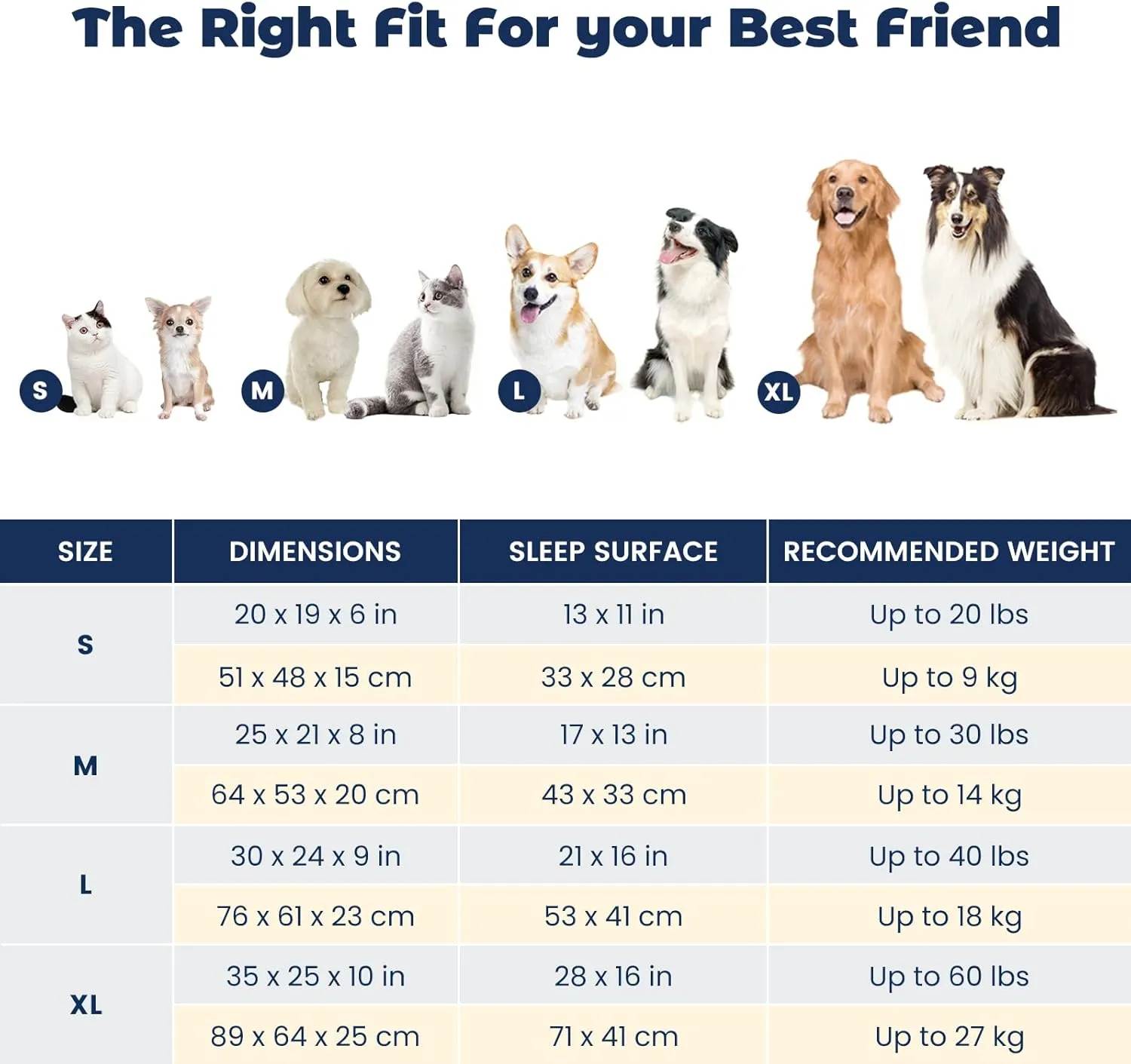 Miguel Medium Small Dog Bed with Washable Removable Cover - Rectangle Pet Bed for Indoor Cats with Bolster Soft Cuddle Bed for Puppies with Supportive Side Wall Non-Slip Bottom, Dark Gray 25 Inches