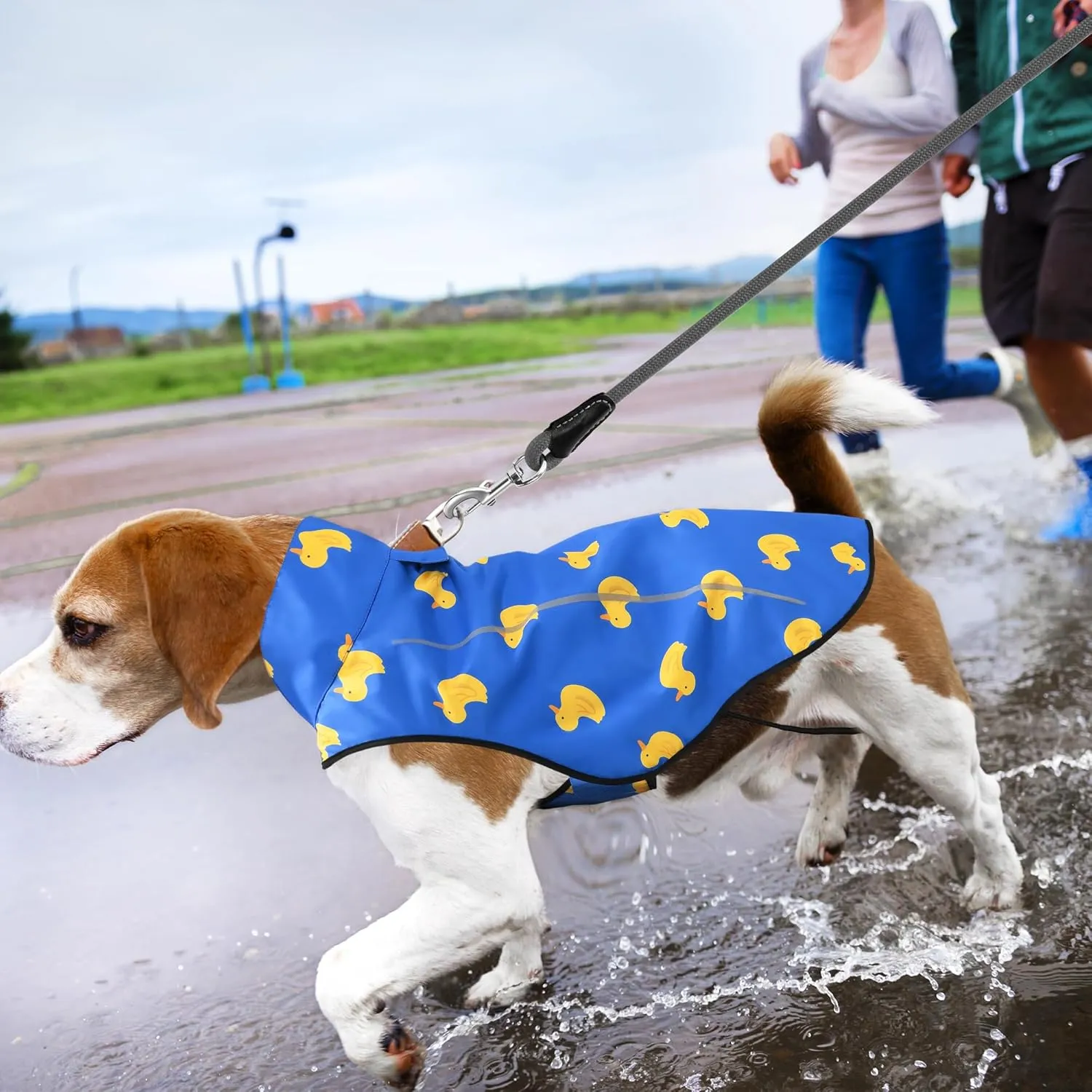 Mile High Life Dog Raincoat, Adjustable Waterproof Reflective Rain Jacket for Small Medium Large Dogs, Lightweight Breathable Pet Rain Coat with Leash Hole(Blue Duck,XS Chest 17-23")