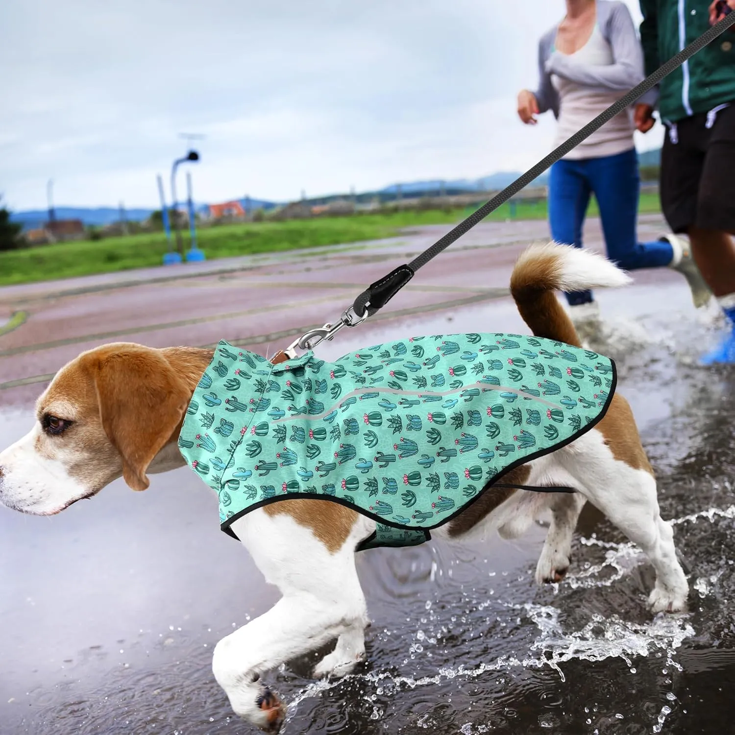 Mile High Life Dog Raincoat, Adjustable Waterproof Reflective Rain Jacket for Small Medium Large Dogs, Lightweight Breathable Pet Rain Coat with Leash Hole(Green Cactus,XS Chest 17-23")