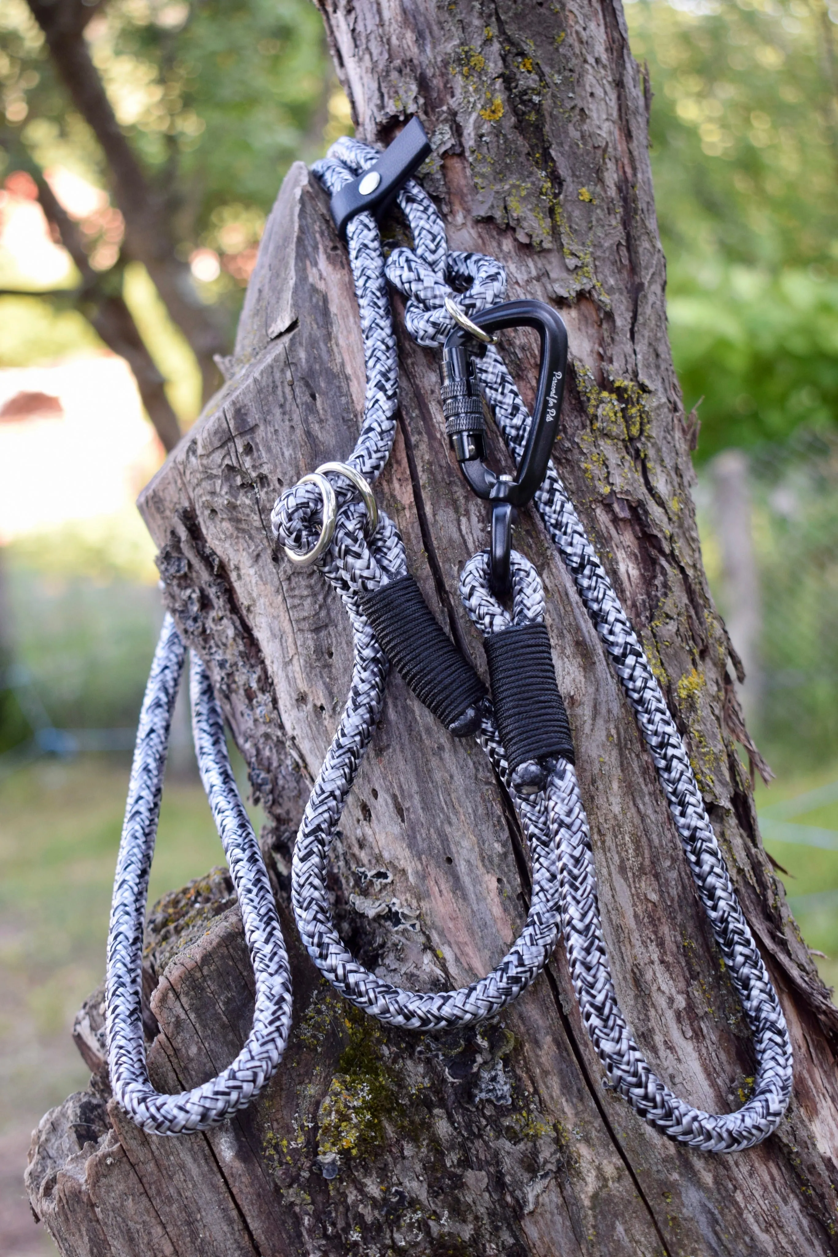 Noise Dog Loop Leash