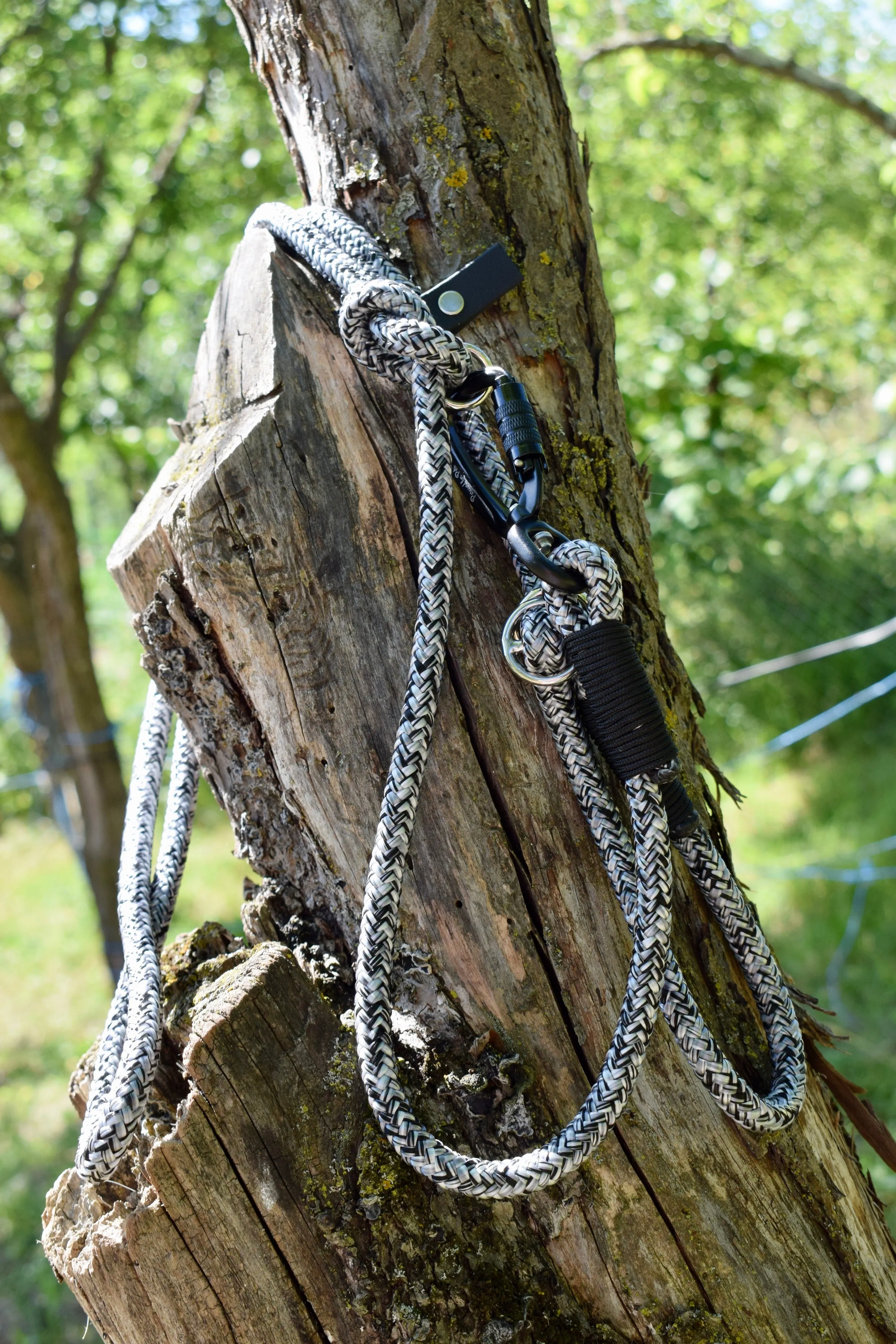 Noise Dog Loop Leash