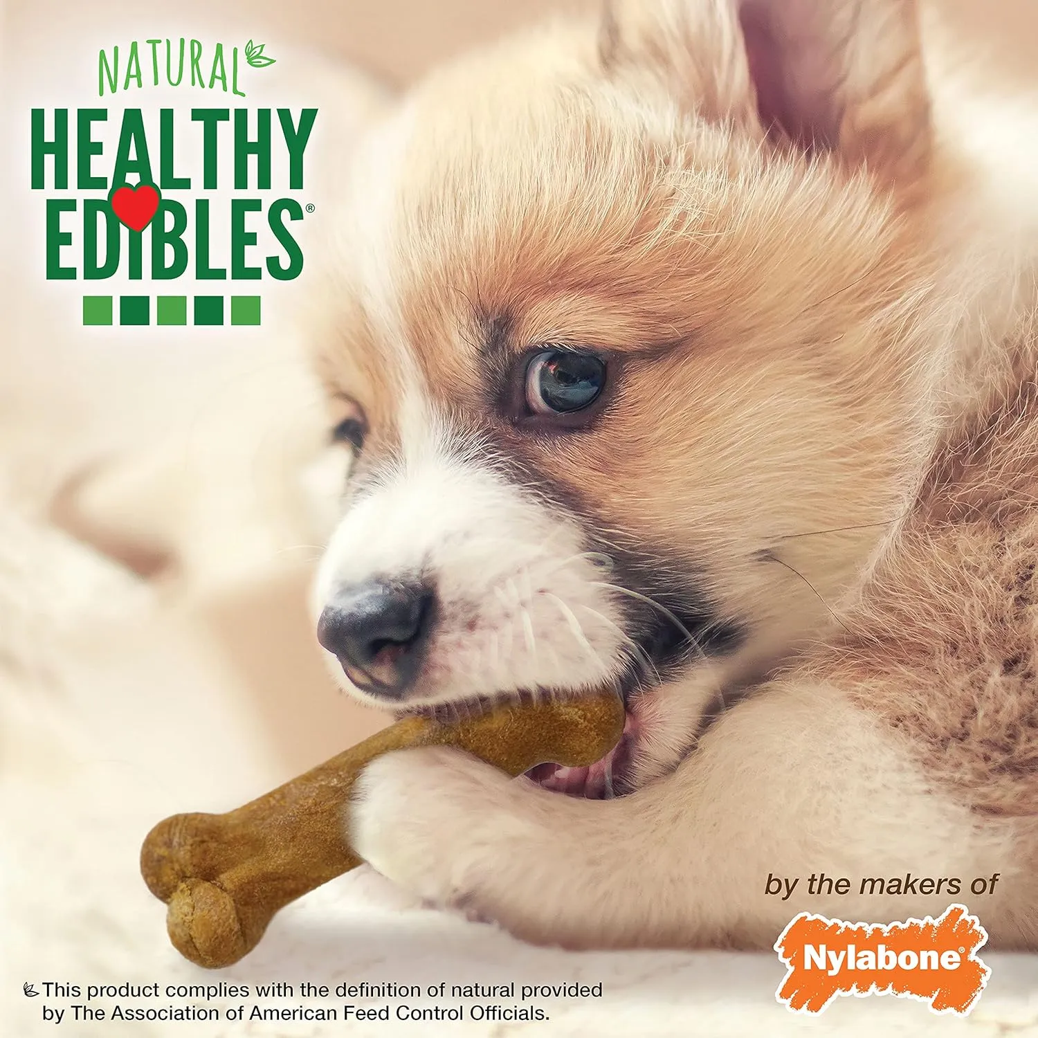 Nylabone Healthy Edibles Natural Puppy Chews Long Lasting Treats for Puppies, Roast Beef, Apple & Bacon Flavor, X-Small/Petite (3 Count)