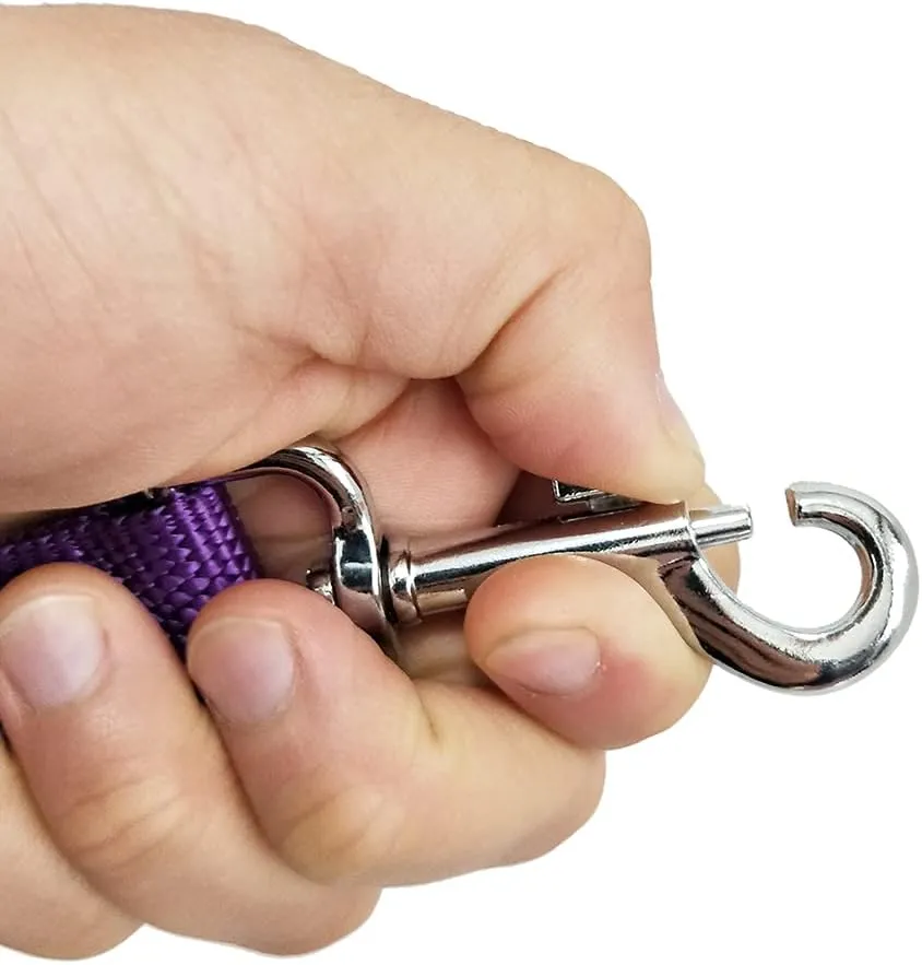 Nylon Dog Training Leash, Traction Rope, 4Foot /5 Ft /6 Feet Long, 5/8 inch 3/4 Inch 1 Inch Wide, for Small and Medium Dogs
