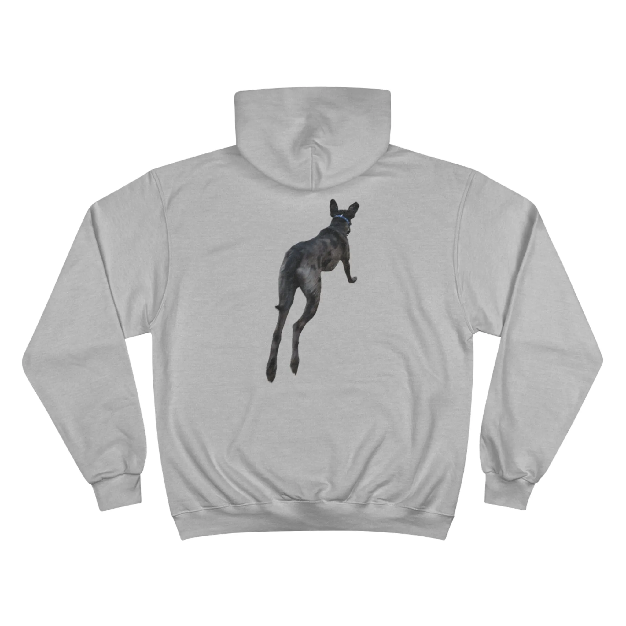 Odin Champion Hoodie