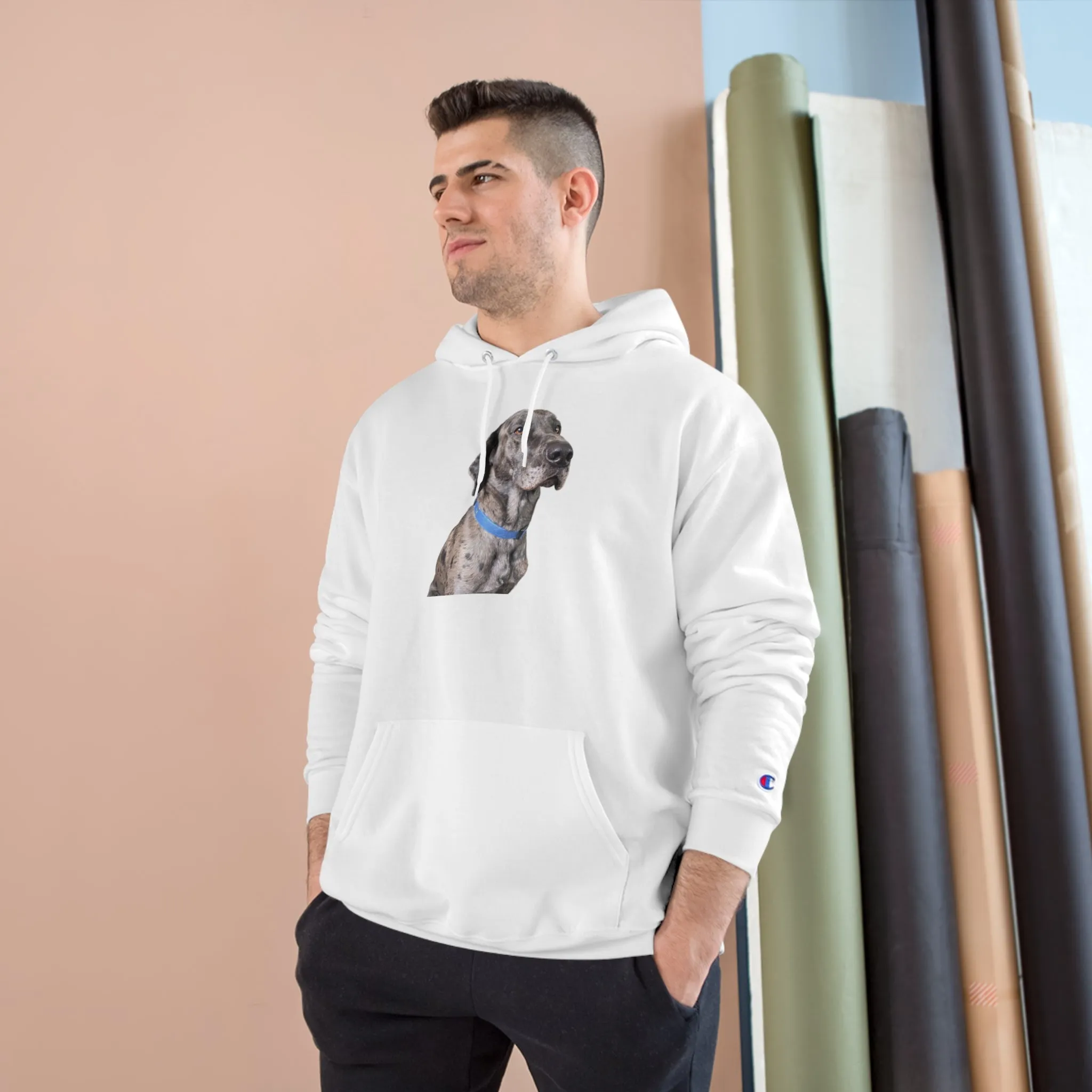 Odin Champion Hoodie