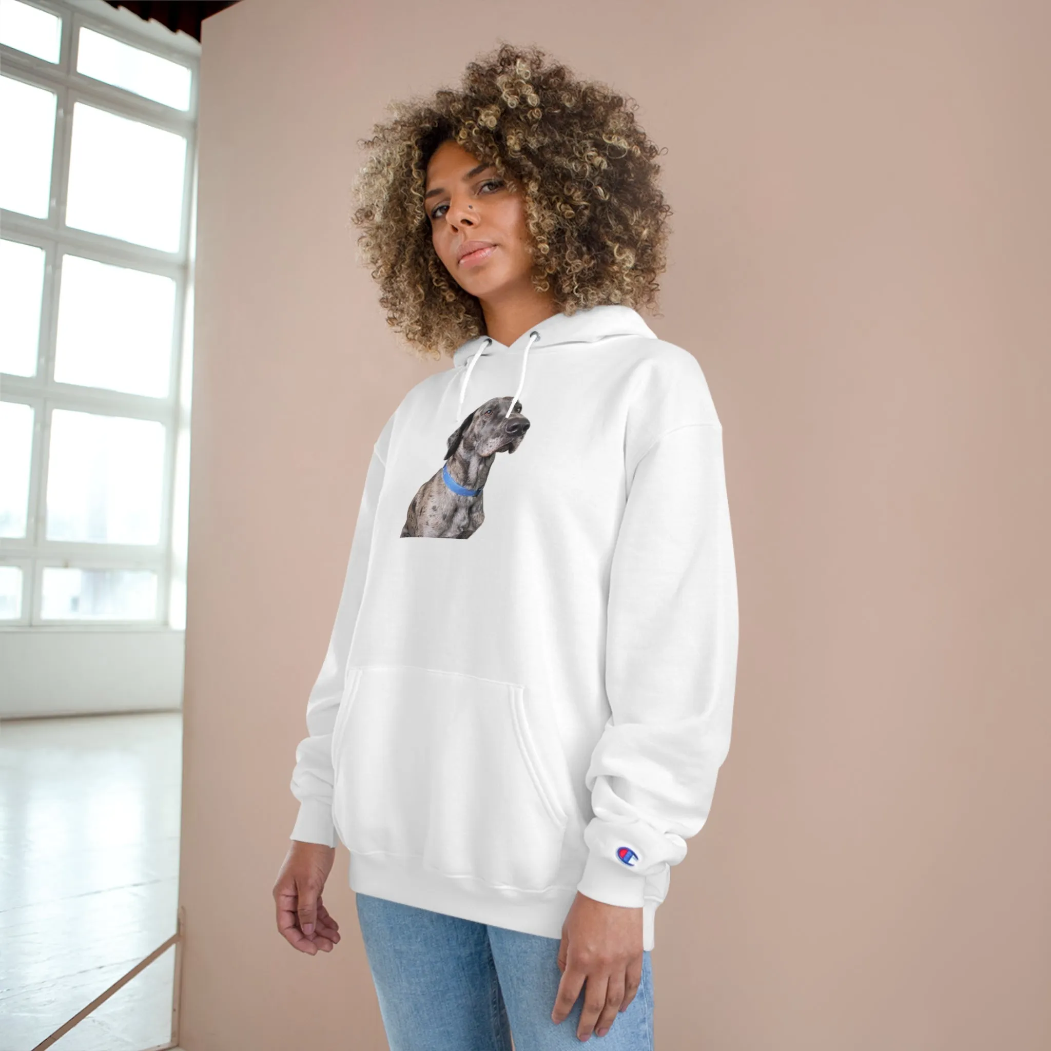 Odin Champion Hoodie