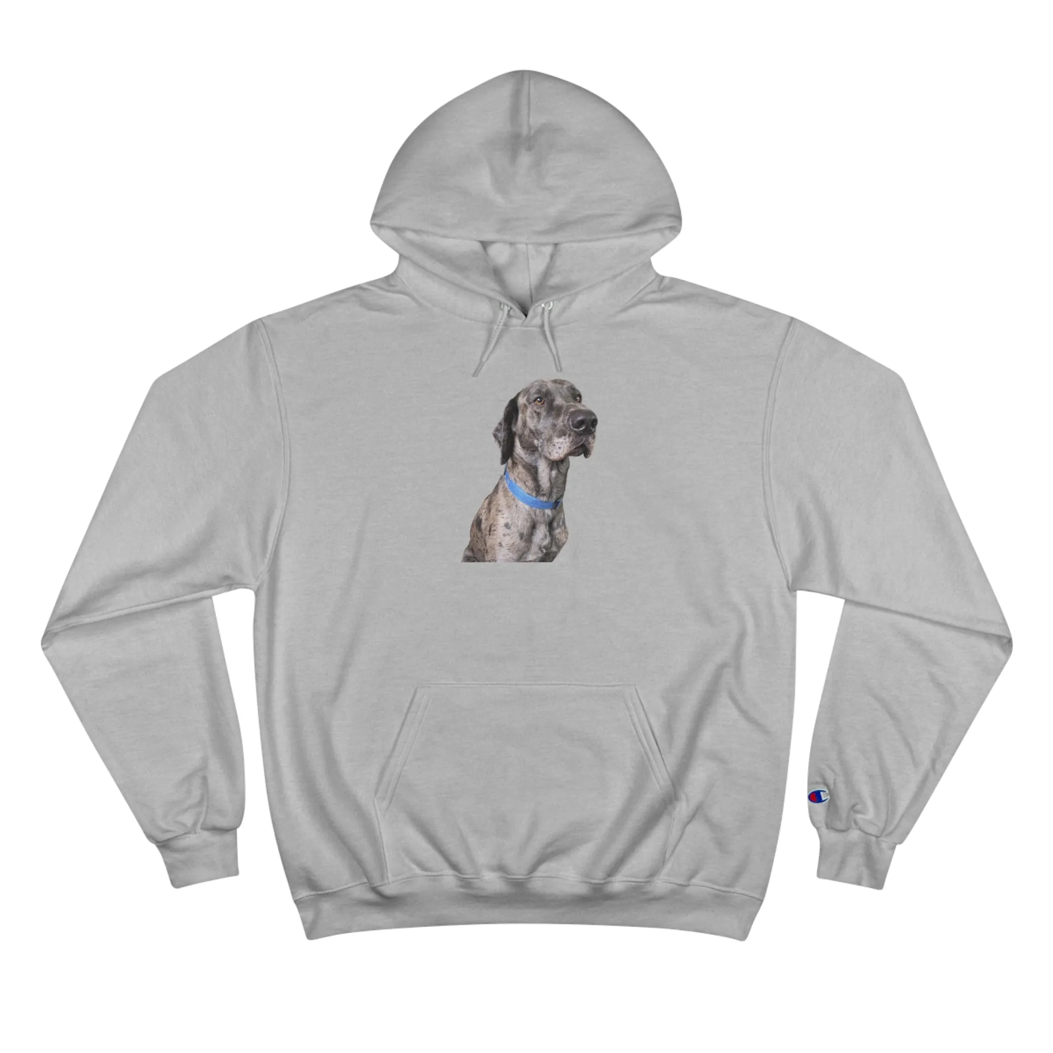 Odin Champion Hoodie