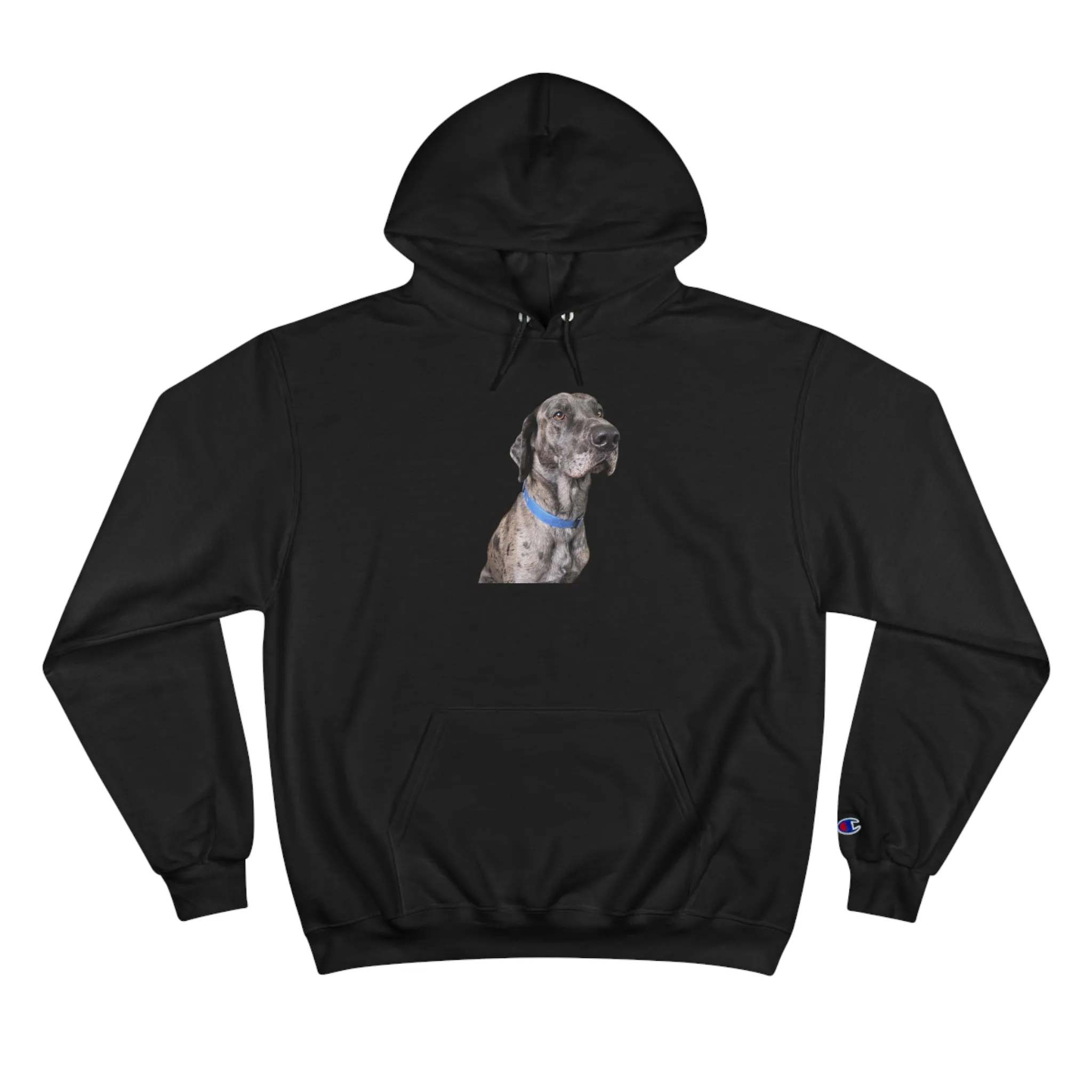 Odin Champion Hoodie