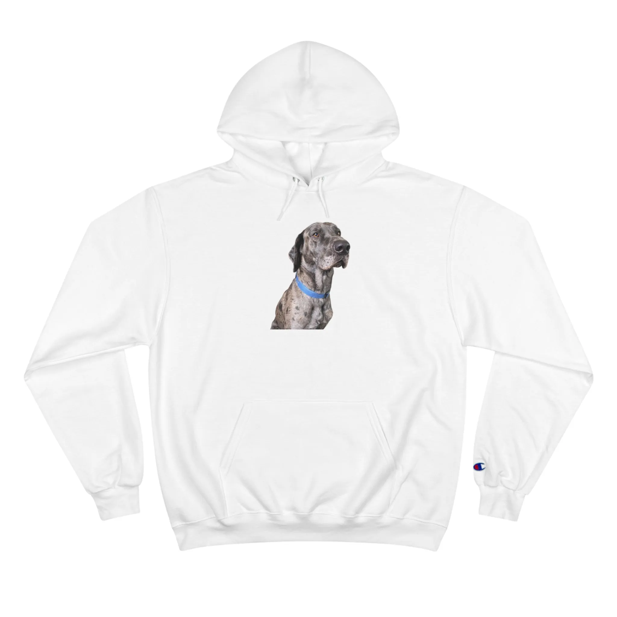 Odin Champion Hoodie