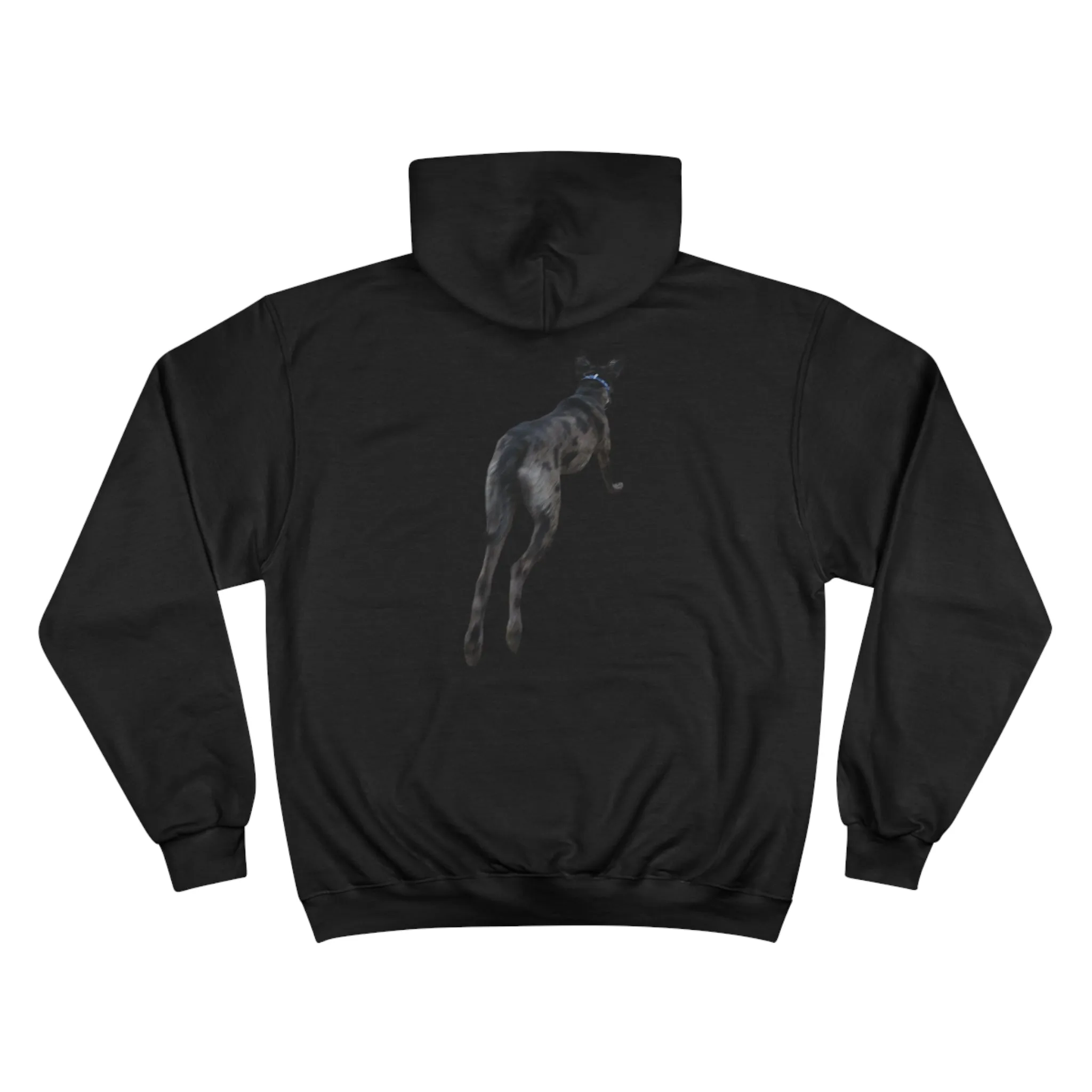Odin Champion Hoodie