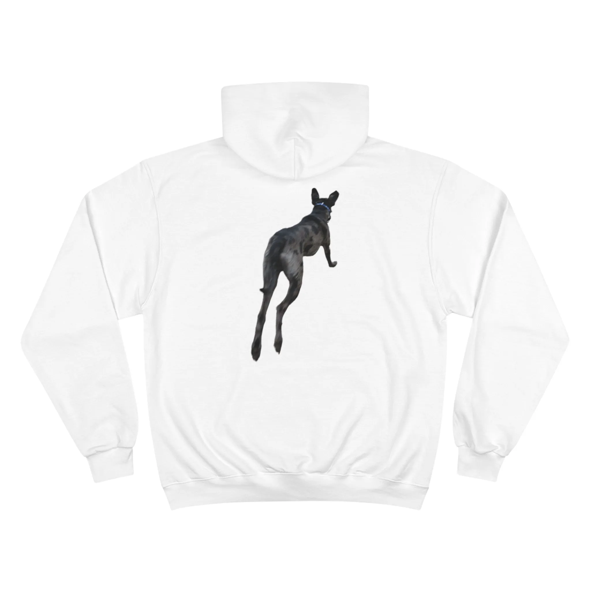 Odin Champion Hoodie