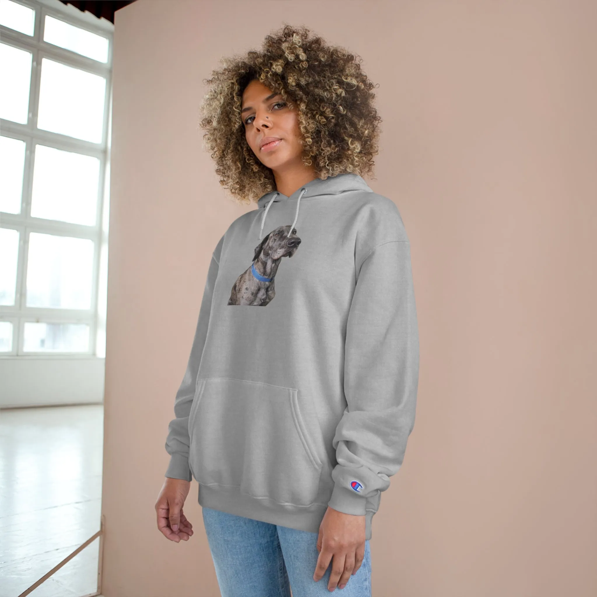 Odin Champion Hoodie