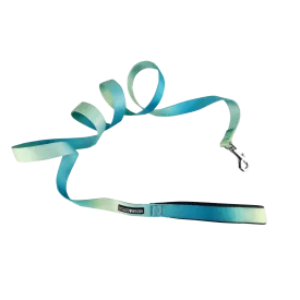 Ombre Leash | Aruba Blue