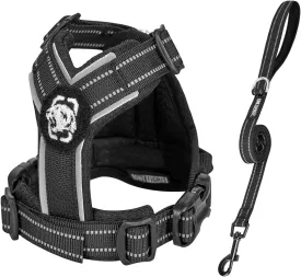OneTigris Dog Harness for Small Medium Dogs No Pull, Puppy Harness and Leash Set, Easy Walk Dog Harness for Walking, Running, Training, ANTZ Small Dog Harness, Medium Dog Harness(Black, XXS)
