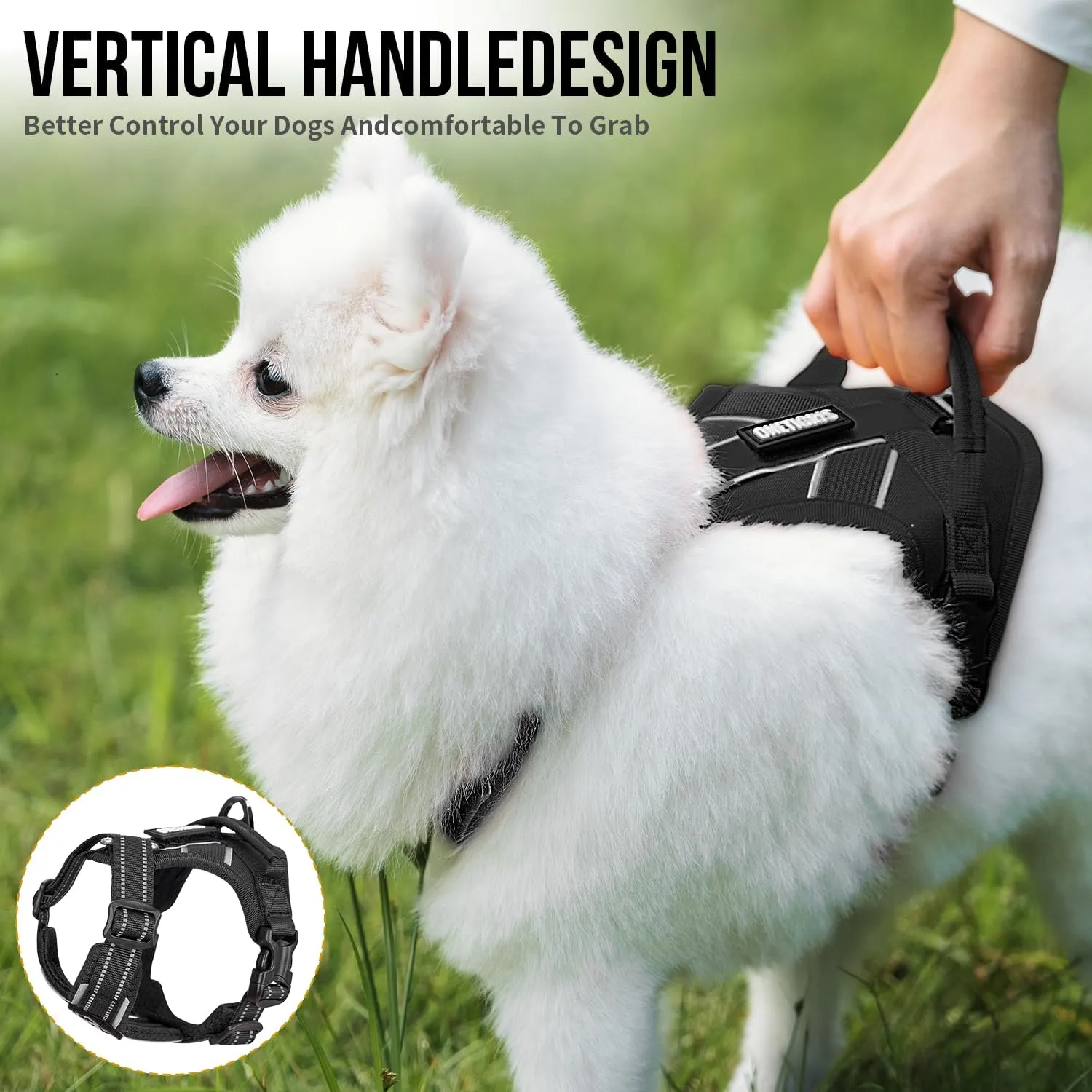 OneTigris Dog Harness for Small Medium Dogs No Pull, Puppy Harness and Leash Set, Easy Walk Dog Harness for Walking, Running, Training, ANTZ Small Dog Harness, Medium Dog Harness(Black, XXS)