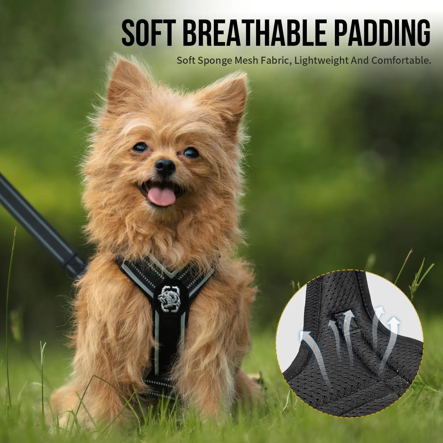 OneTigris Dog Harness for Small Medium Dogs No Pull, Puppy Harness and Leash Set, Easy Walk Dog Harness for Walking, Running, Training, ANTZ Small Dog Harness, Medium Dog Harness(Black, XXS)