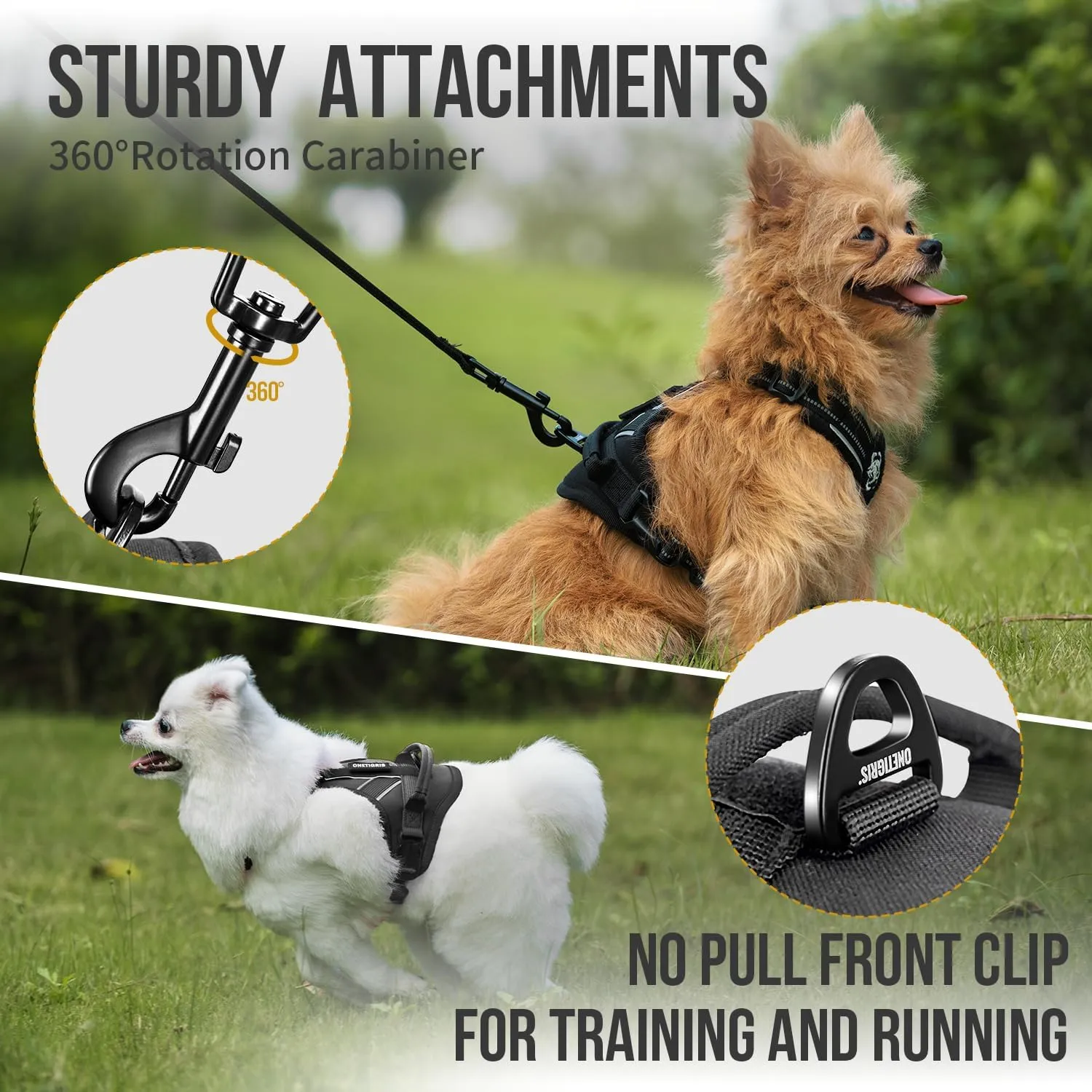 OneTigris Dog Harness for Small Medium Dogs No Pull, Puppy Harness and Leash Set, Easy Walk Dog Harness for Walking, Running, Training, ANTZ Small Dog Harness, Medium Dog Harness(Black, XXS)