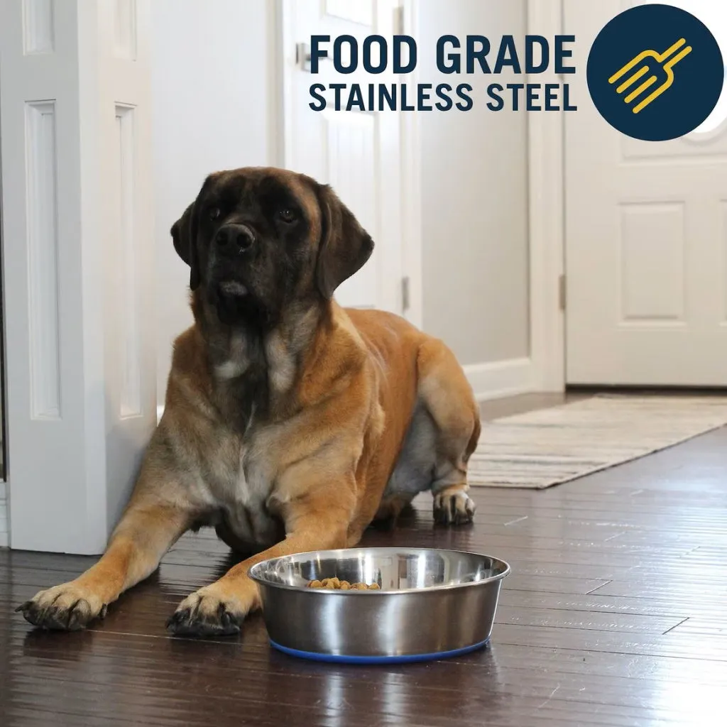 OurPets Premium Stainless Steel Rubber-Bonded Dog Bowl
