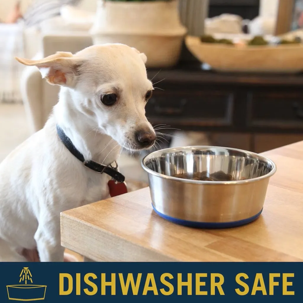 OurPets Premium Stainless Steel Rubber-Bonded Dog Bowl
