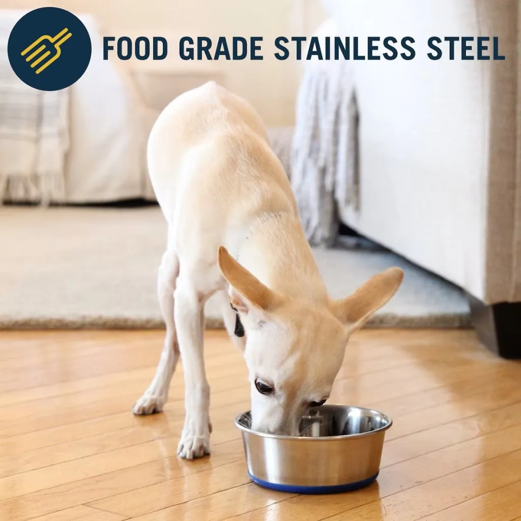 OurPets Premium Stainless Steel Rubber-Bonded Dog Bowl