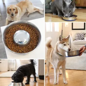 OurPets Premium Stainless Steel Rubber-Bonded Dog Bowl