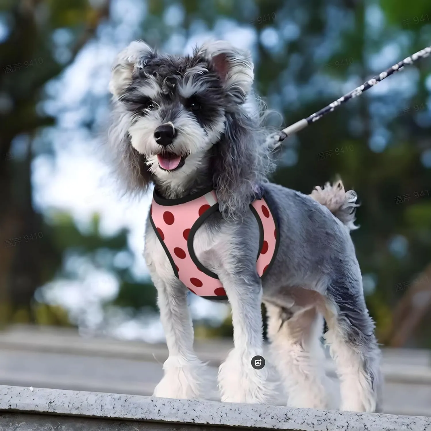 Pale Pink Polka Dot No Pull Dog Harness and Leash Set, Cute Reflective Vest for Small Dogs,Adjustable Breathable Mesh Puppy Harness for Walking Hiking,Small