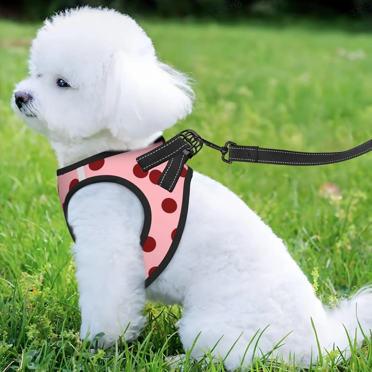Pale Pink Polka Dot No Pull Dog Harness and Leash Set, Cute Reflective Vest for Small Dogs,Adjustable Breathable Mesh Puppy Harness for Walking Hiking,Small