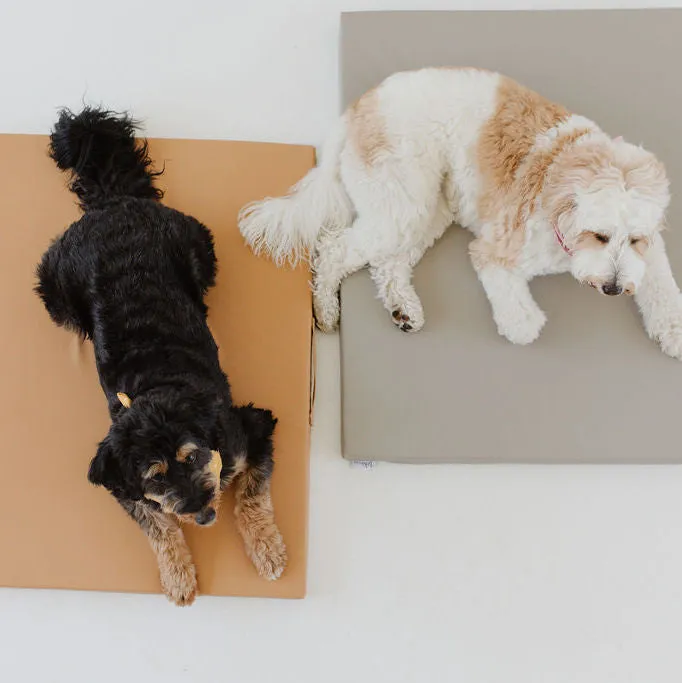 Pebble | Dog Bed