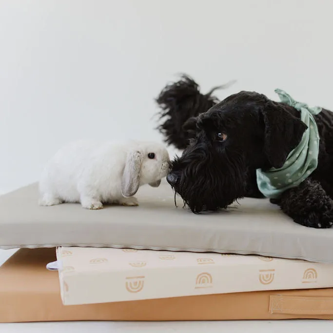 Pebble | Dog Bed