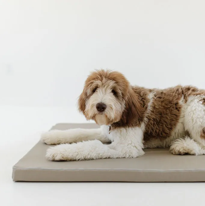 Pebble | Dog Bed