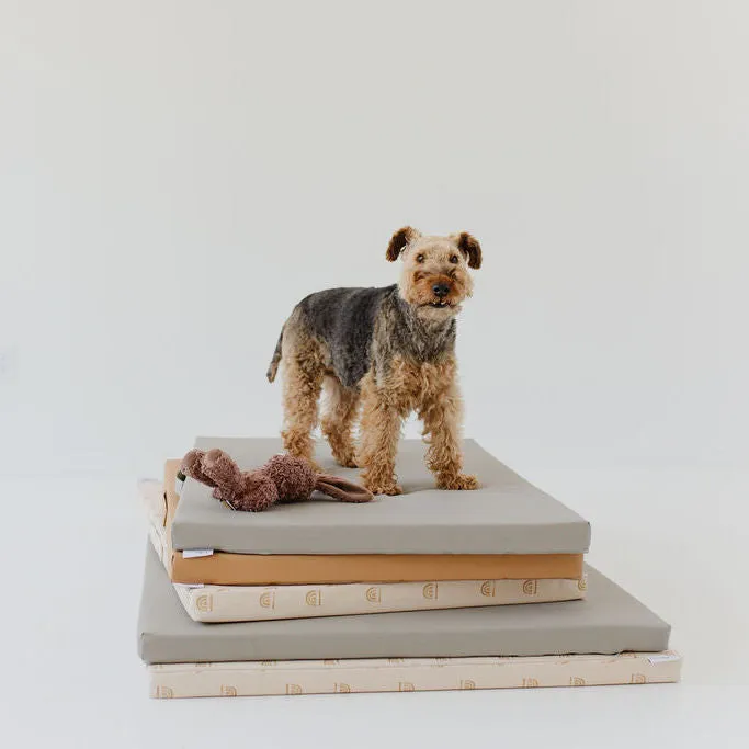Pebble | Dog Bed